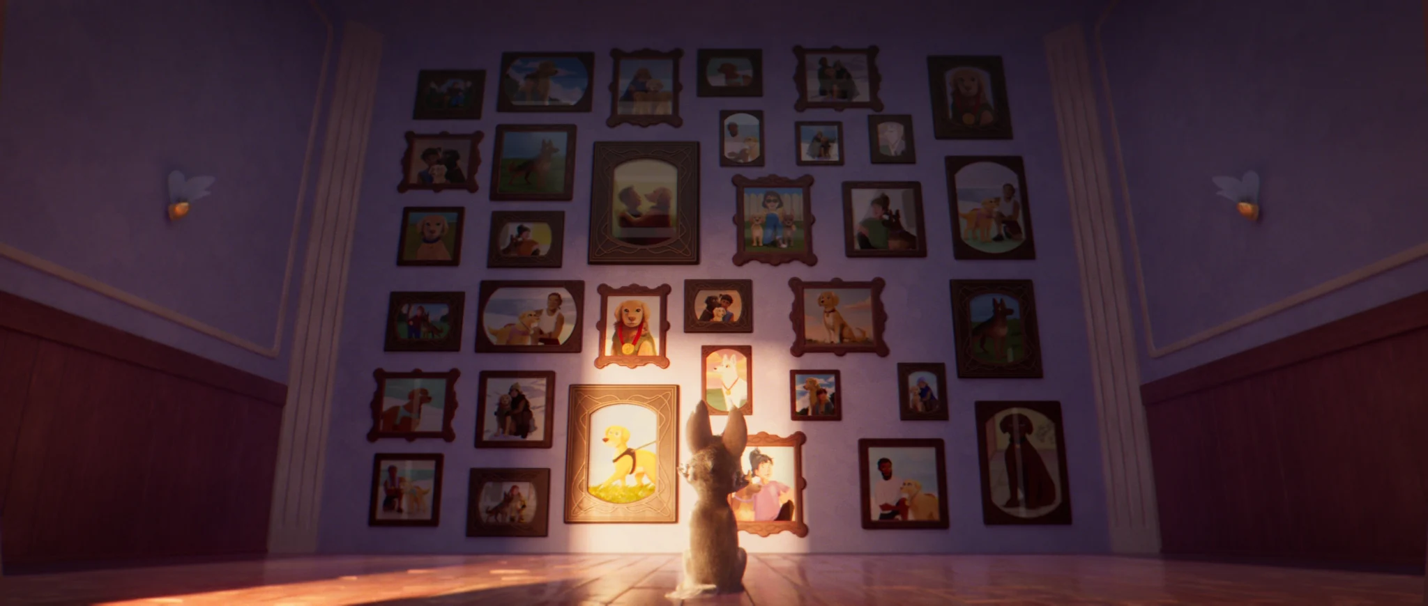A puppy, seen from behind, gazes at a wall covered in framed portraits of guide dogs with their people, lit by a beam of light.