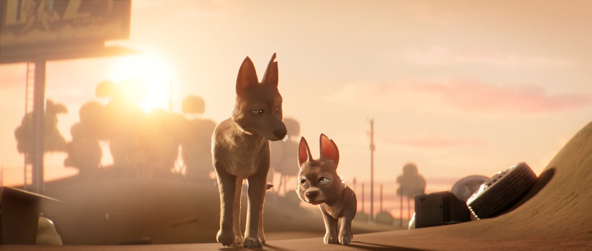 An adult dog and a puppy walk across a vacant lot at sunset.