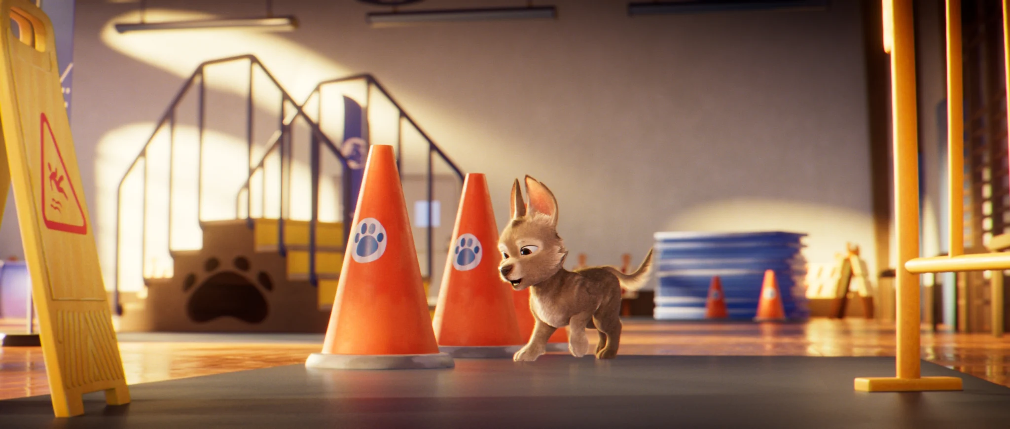 A puppy weaves between orange cones in a training gym.